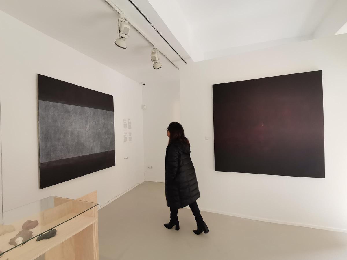 L'exposició explora algunes de les sèries treballades per l'artista.
