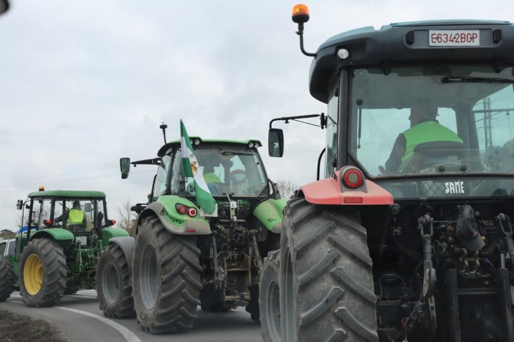 Tractorada de los agricultores y ganaderos malagueños contra los precios bajos que impone la industria.