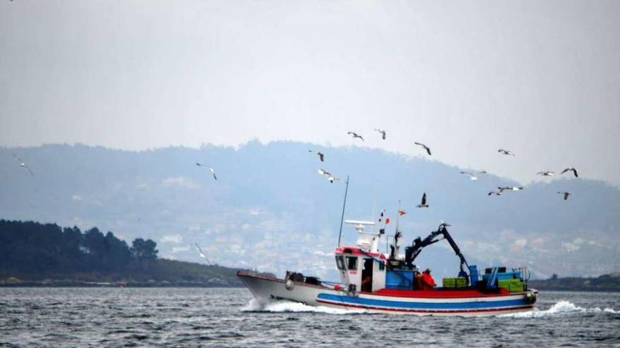 El cerco de Galicia tendrá un 34,5% más de jurel este año tras un acuerdo entre el sector