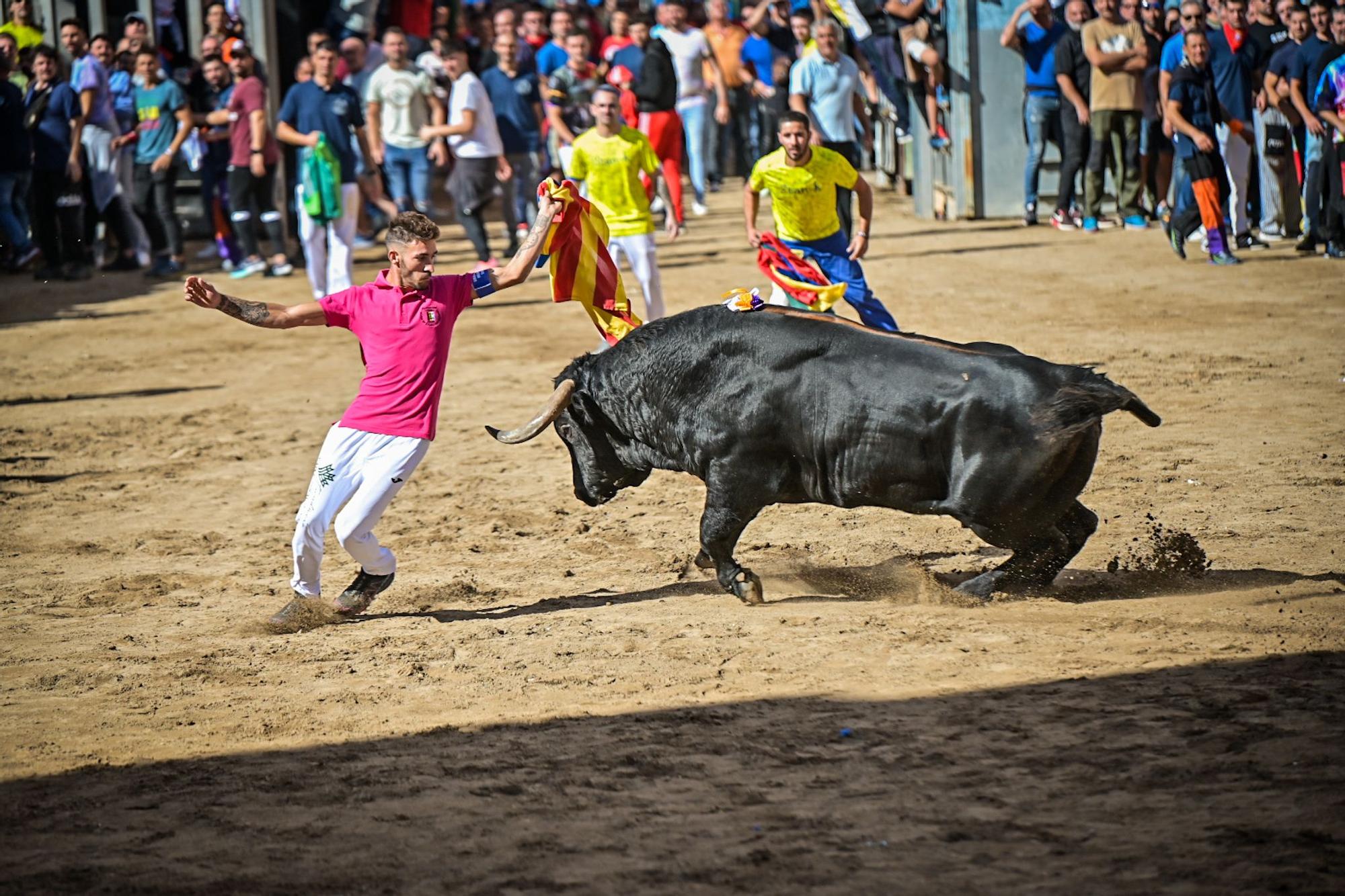 Las fotos del intenso miércoles de 'bous al carrer' de la Fira d'Onda, con la visita de Bruno Soriano.