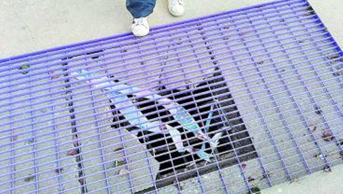 Detalle de la arqueta rota, con el cauce debajo. | A.V.