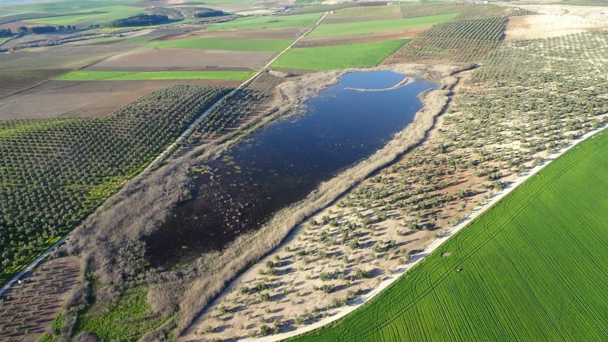 Vista aérea de la Laguna del Donadío (Santaella)