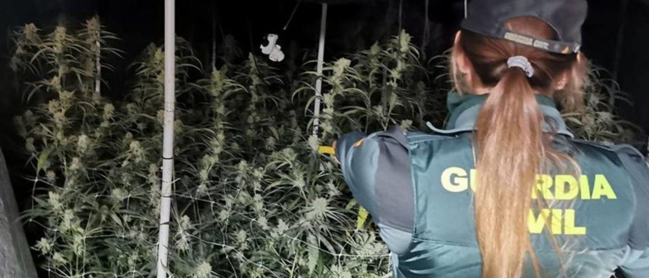 Una guardia civil con la «maría» incautada en Calp. | INFORMACIÓN