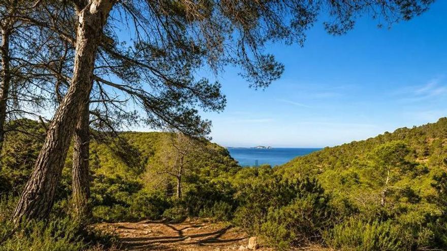 A la venta un “mirador natural privado” en Ibiza por 240.000 euros