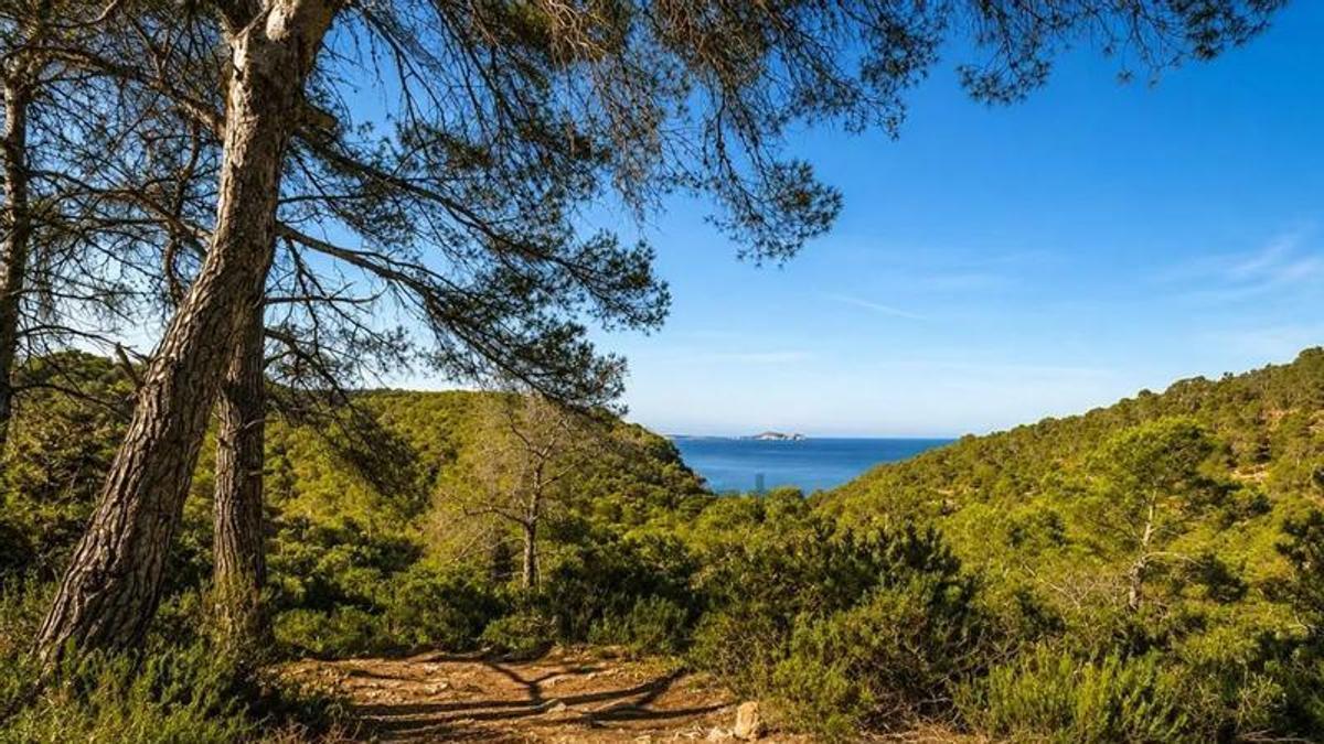 VENTA BALEARES | A la venta un “mirador natural privado” en Ibiza por 240.000 euros