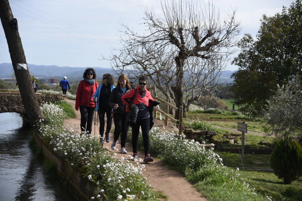 Participants en la Transèquia d'enguany.