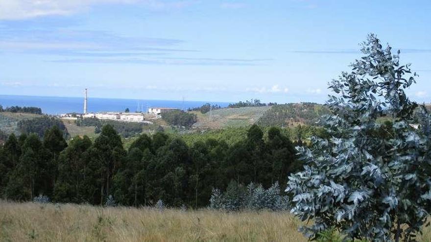 Zona en la que se prevé la construcción de la planta de residuos de Santa Icía.