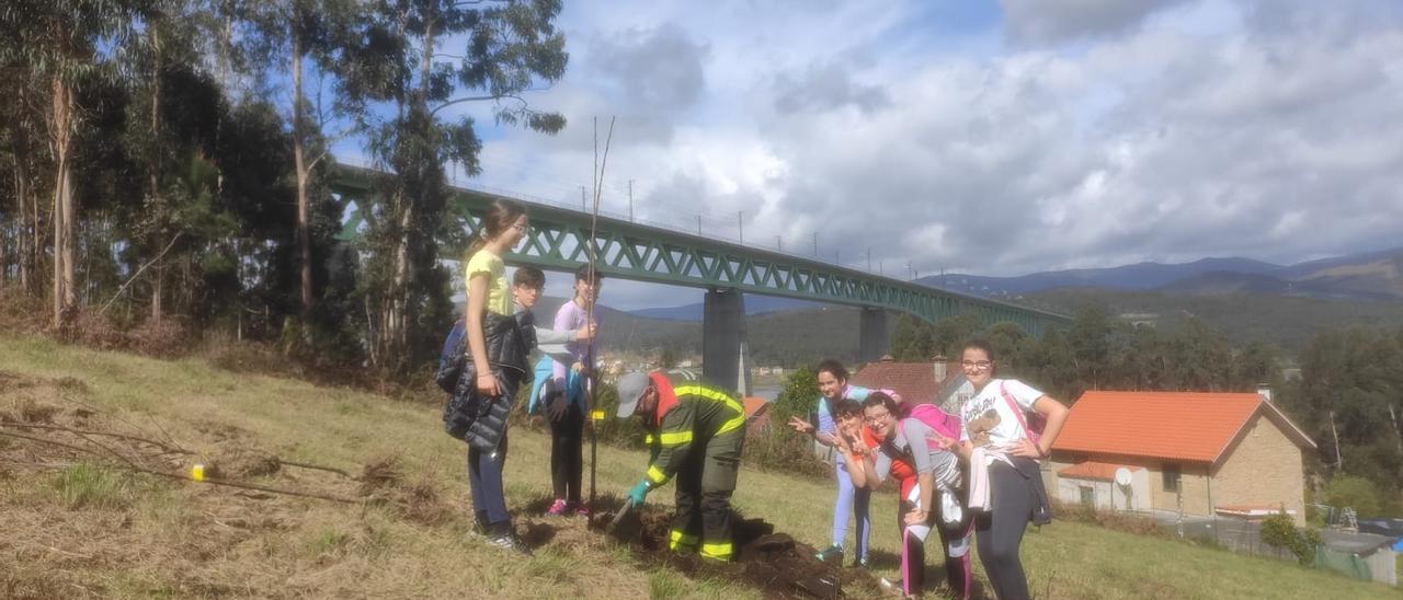 Escolares de Catoira durante la plantación de árboles autóctonos, esta mañana.