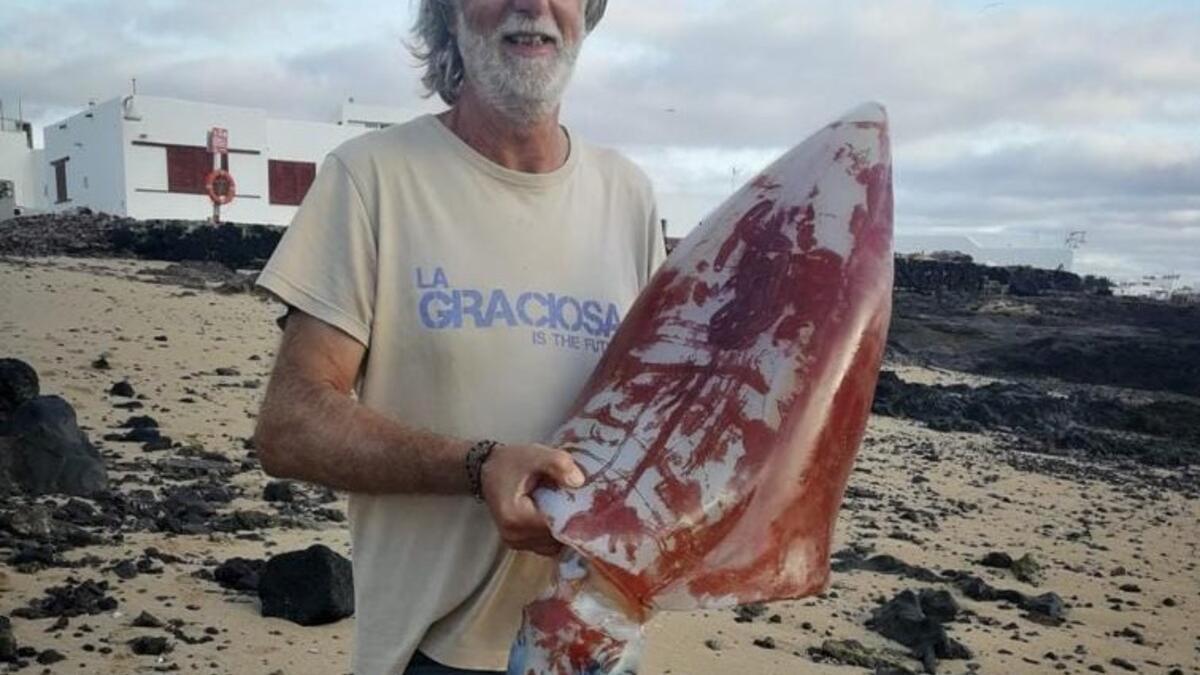 Calamar gigante encontrado en La Graciosa.