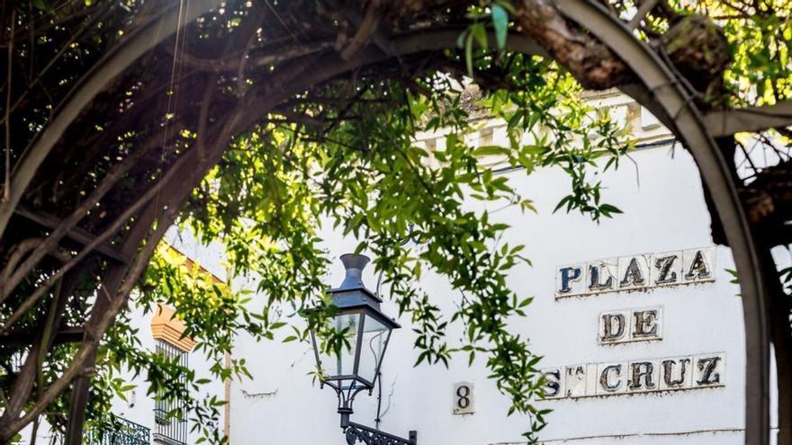 Isabel Pineda, historiadora y guía turística sevillana: "Esta plaza de Sevilla fue mezquita, sinagoga e iglesia"