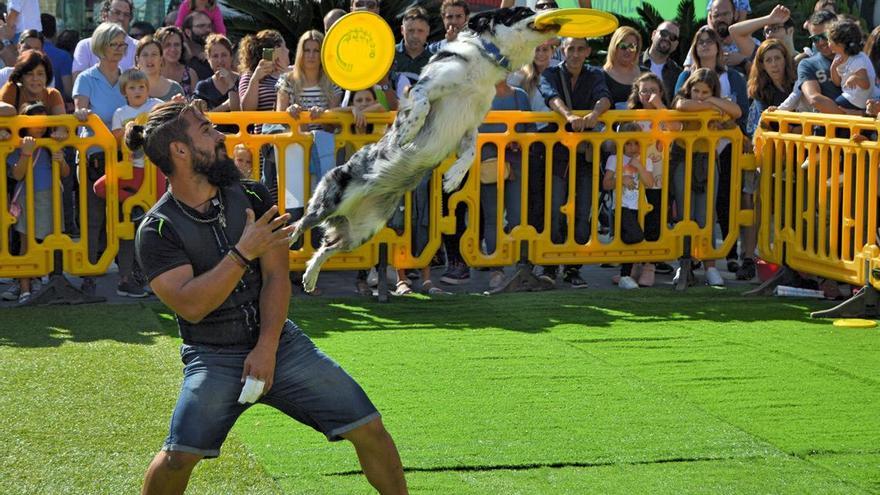 Córdoba acoge la feria de mascotas más grande de Andalucía