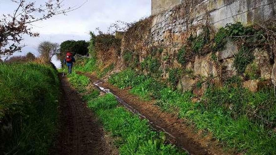 El estado del tramo de la ruta jacobea por Silleda que critican.