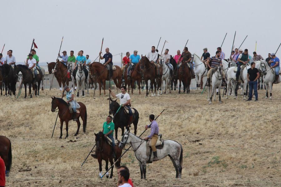 Segundo encierro taurino en Guarrate