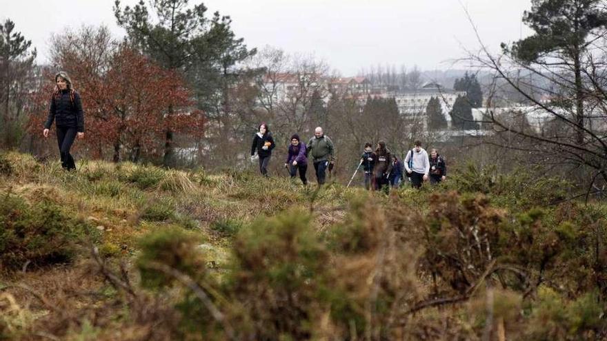 Una de las caminatas organizadas este año por Roteiros de Lalín cruzó el Monte da Pena. // Bernabé/Luismy