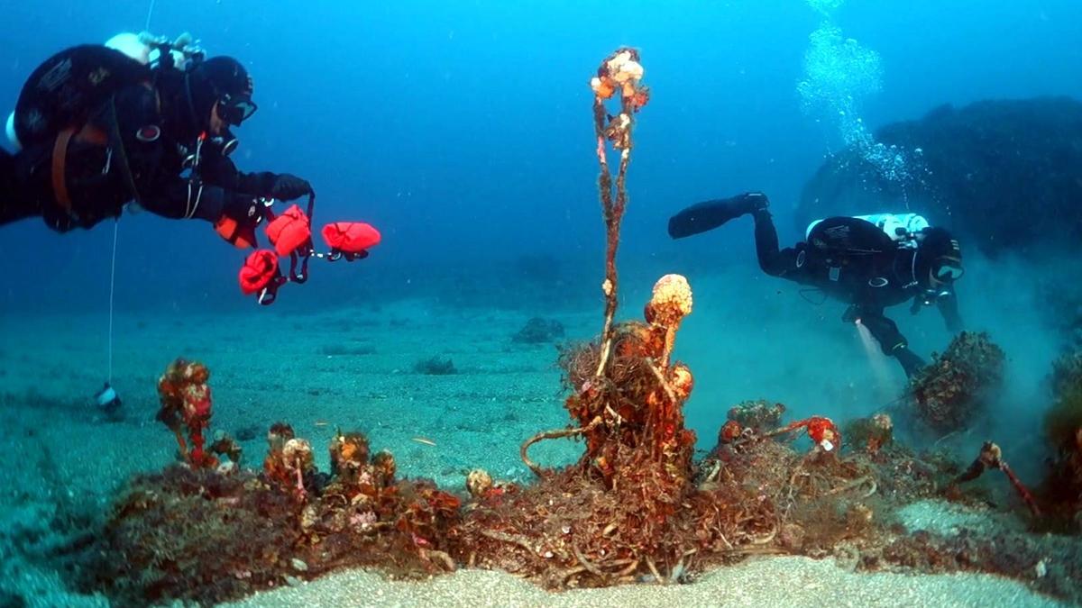 Dos submarinistes extraient una xarxa de pesca fantasma del fons marí