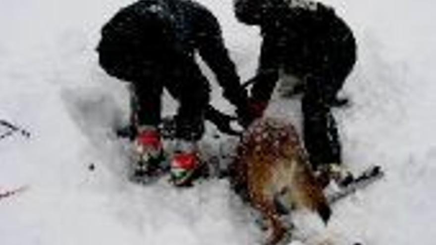 Otra avalancha de nieve sepultaa dos montañeros en Panticosa