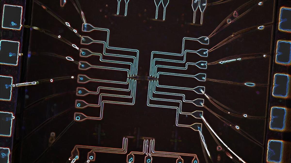 Vista del conjunto de cavidades acopladas controladas eléctricamente, en el chip fotónico de silicio realizado por el equipo de investigadores.