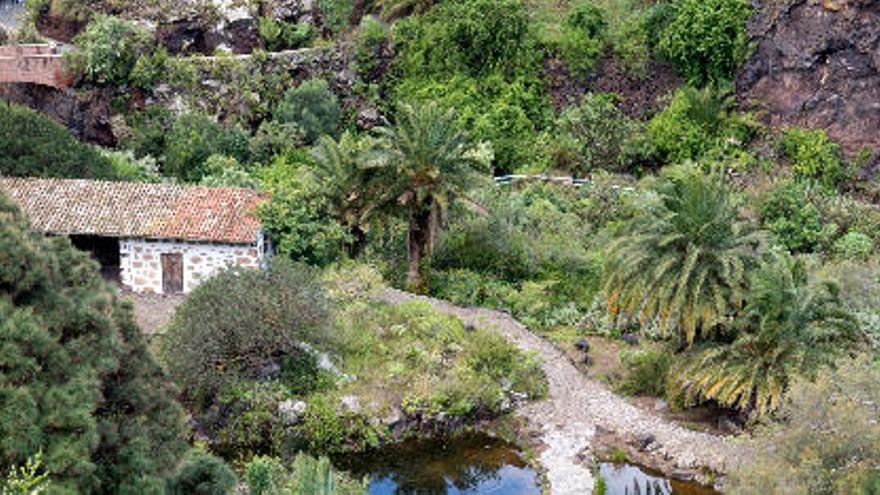 Vista del alpendre y las charcas del Jardín Canario