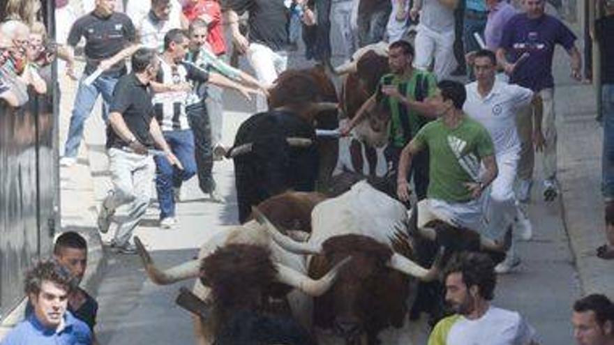 El Consell abandera una cumbre en Castellón para defender los ‘bous’