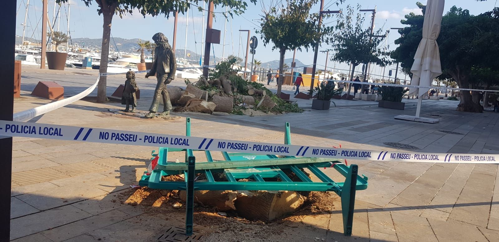 Cae un árbol en el puerto de Ibiza