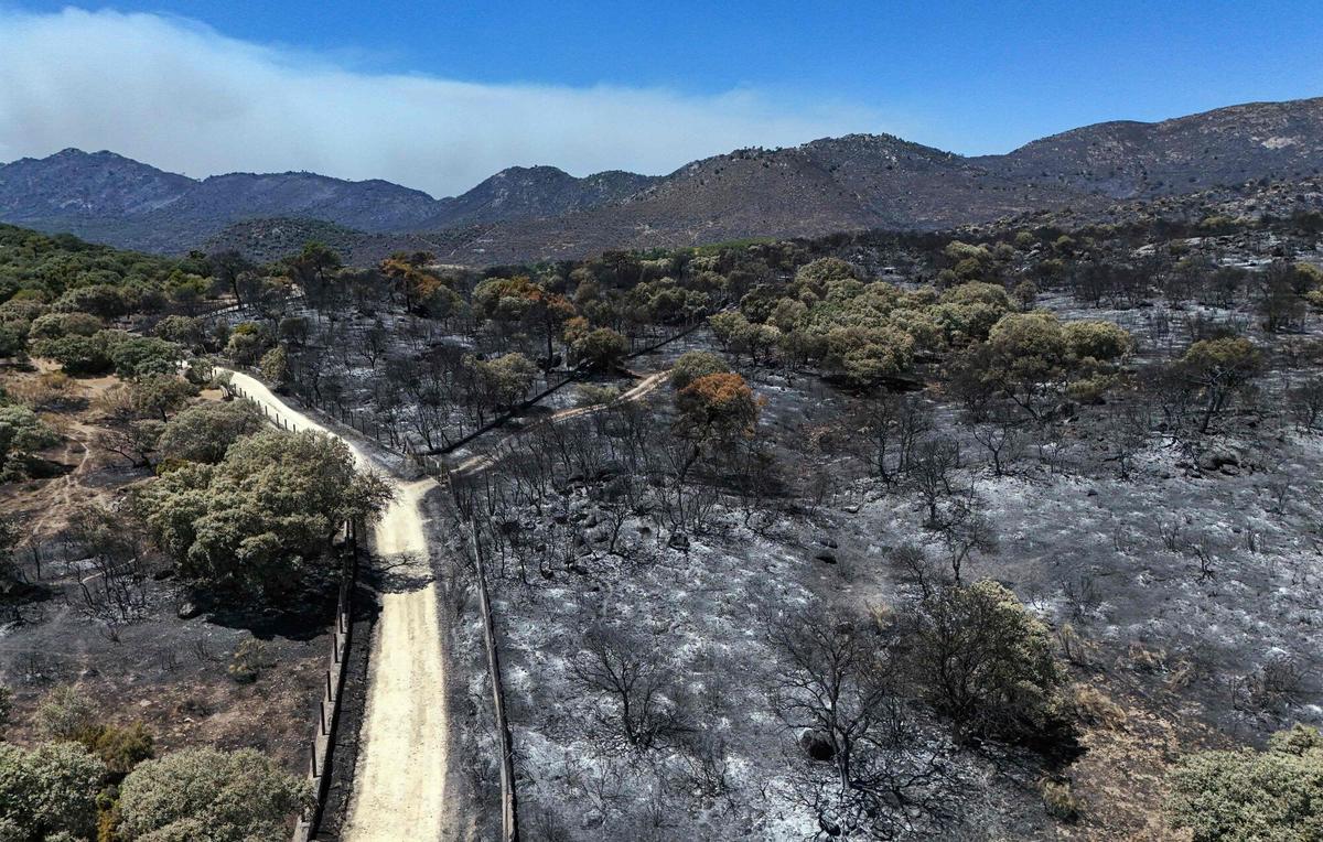 Esta imagen muestra una vista aérea de terreno quemado en el área del Camino de Navahonda, después de un incendio forestal cerca de Robledo de Chavela, a 60 kilómetros al oeste de Madrid, el 27 de julio de 2026.