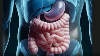 Enfermedad Inflamatoria Intestinal: no hay dos pacientes iguales