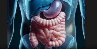 Enfermedad de Crohn y colitis ulcerosa: 1.000 atenciones y cada vez menos ingresos en Elche