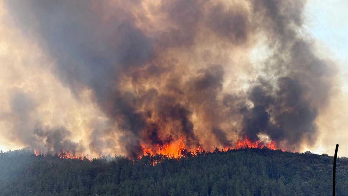 El incendio ocasionado en Tolva por una cosechadora, visto desde la casa de un vecino que vive a un kilómetro, este jueves.