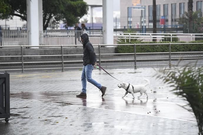 LAS PALMAS DE GRAN CANARIA  24-10-2018  LAS ...