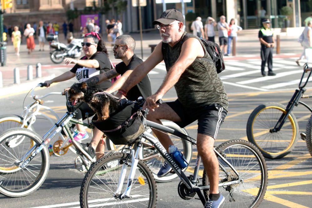 El Día de la Bicicleta llena de color las calles