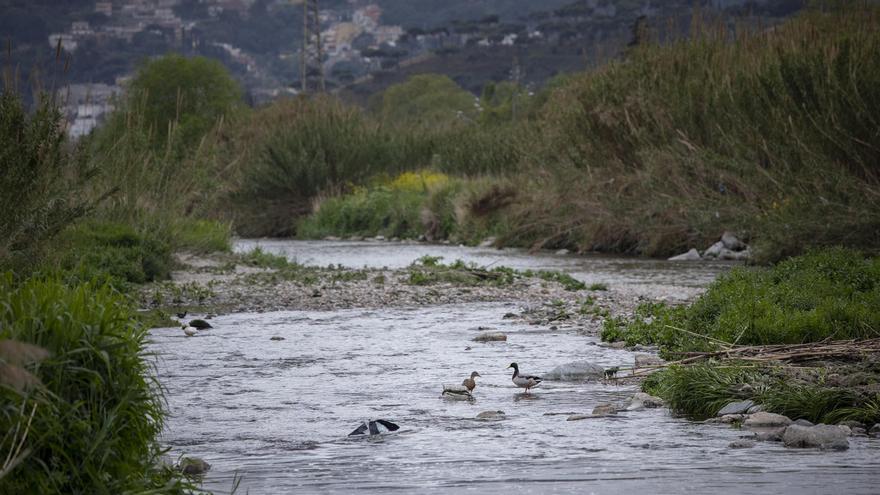 Santa Coloma convertirá el Besòs en un refugio de biodiversidad.