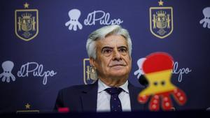 Pedro Rocha opta a la presidencia de la Federación Española de Fútbol