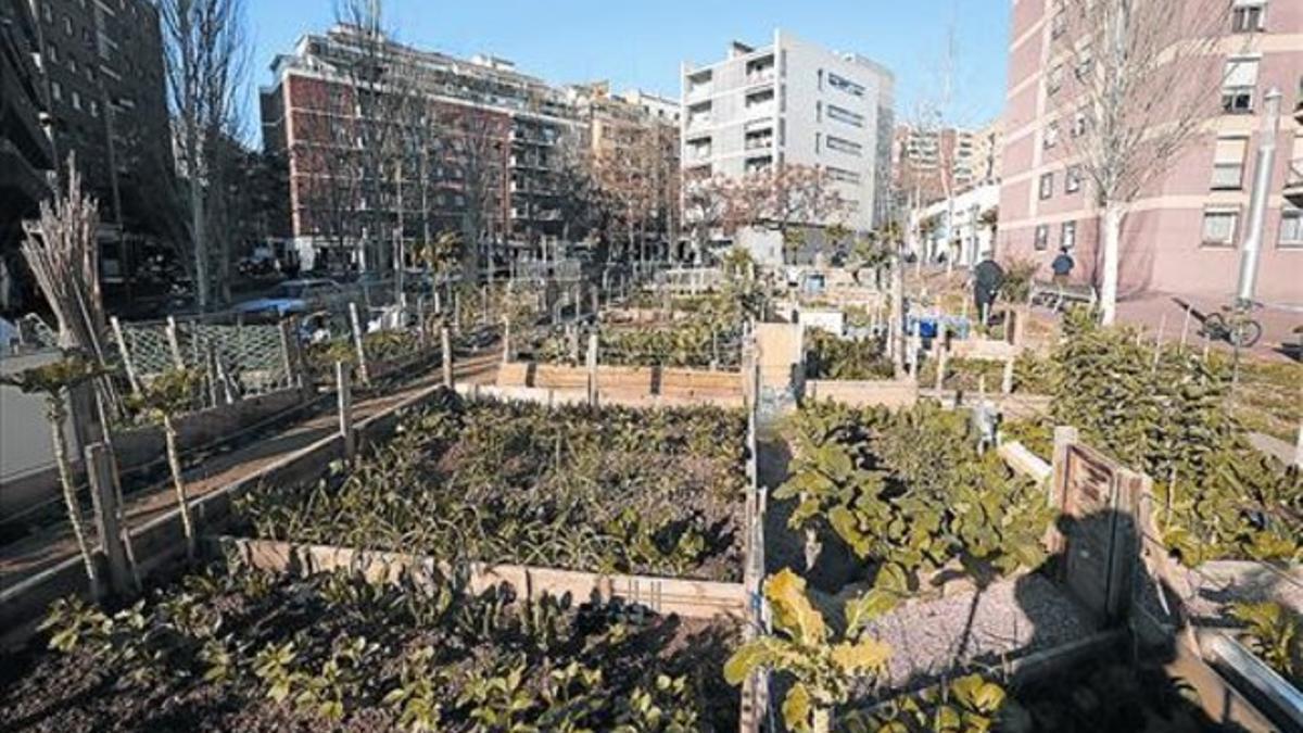 Huerto de Porta sembrado en los terrenos, antes abandonados, propiedad e Núñez y Navarro en Nou Barris.