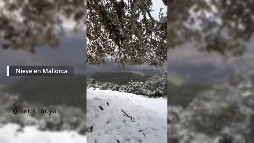 Decretada la alerta roja en la Serra de Tramuntana por nieve