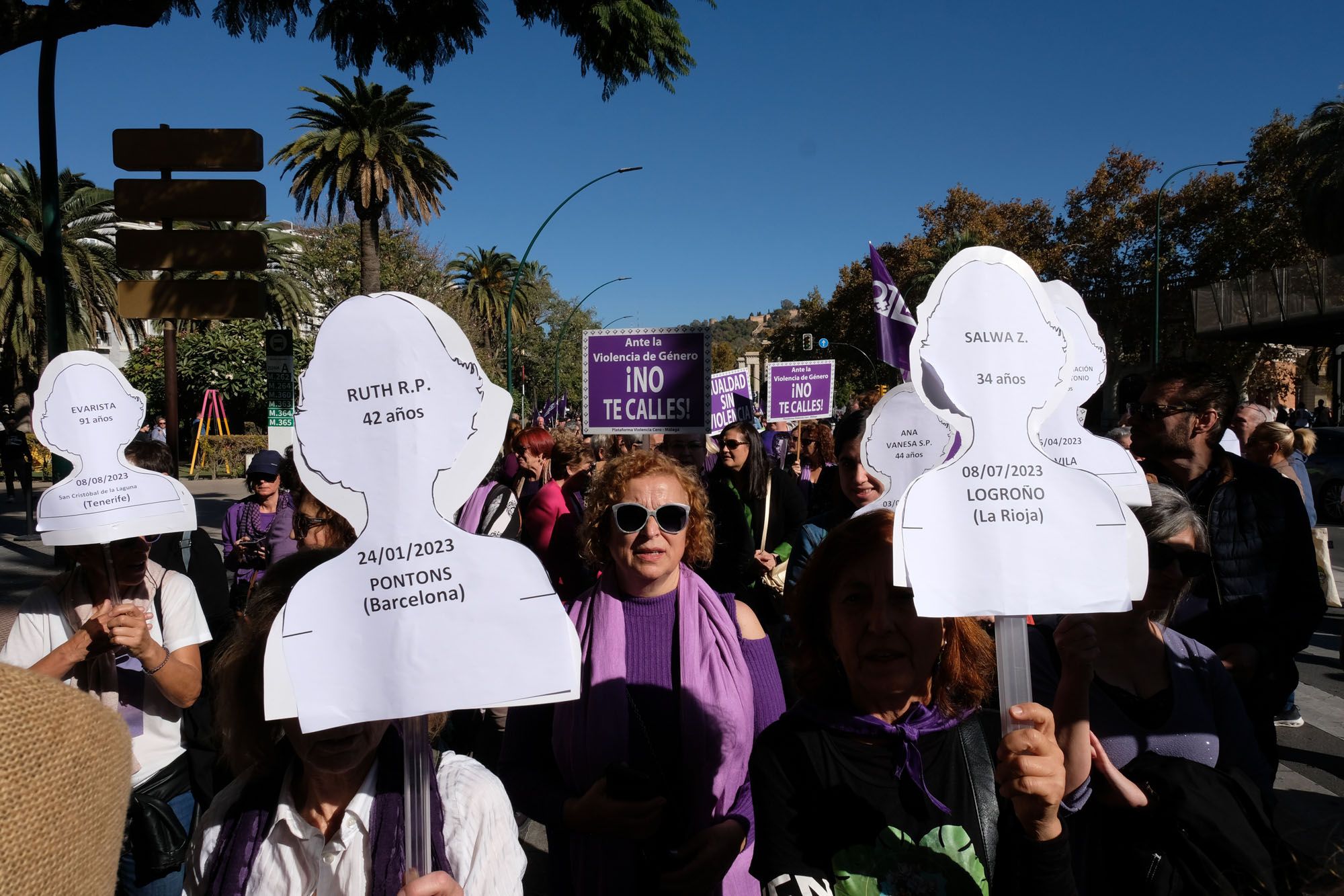 La marcha del 25-N en Málaga por el Día de la eliminación de la violencia machista contra las mujeres, en imágenes