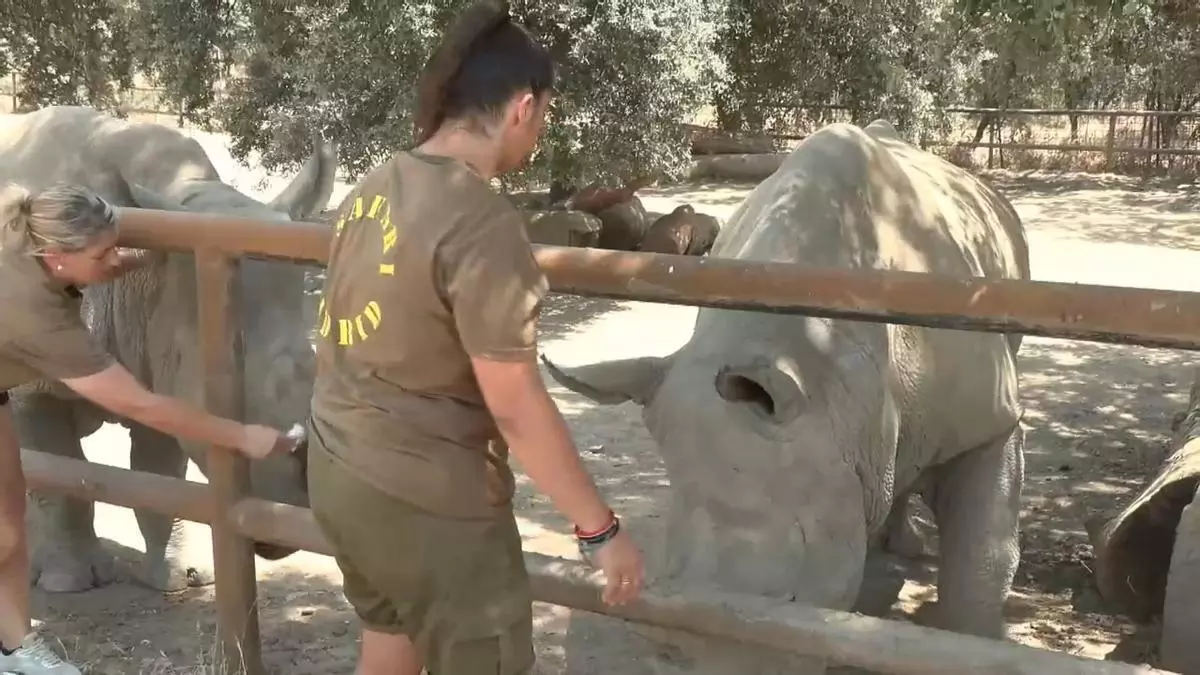 40 horas frente al fuego para salvar Safari Madrid: "Olía a infierno y nadie quería abandonar a los animales"