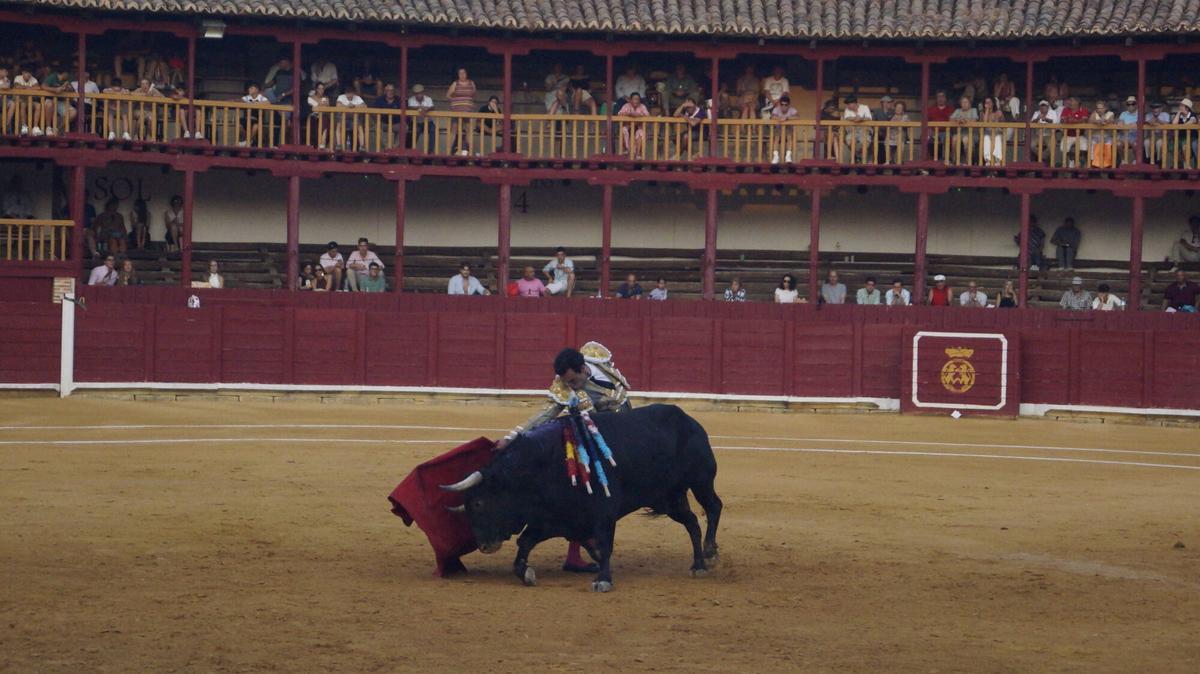 Ismael Martín abrió la triple puerta grande de la plaza de toros de Toro junto a sus compañeros de terna, Alejandro Talavante y Tomás Rufo, en un encierro de presencia y juego desigual de El Vellosino