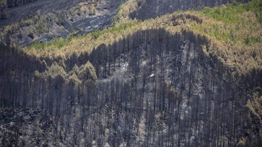 Un helicóptero de la BRIF se estrella en La Palma sin daños en su tripulación