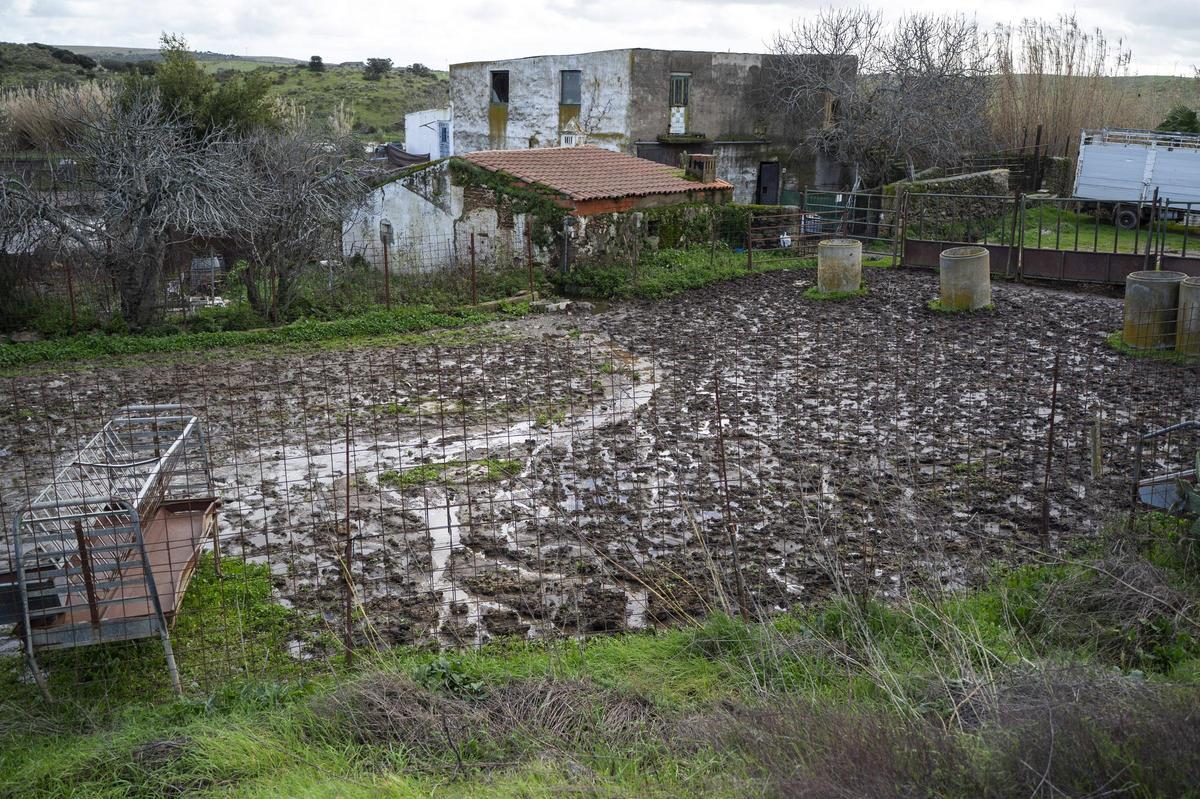 Galería | Estado del Marco tras el desembalse del Guadiloba en Cáceres