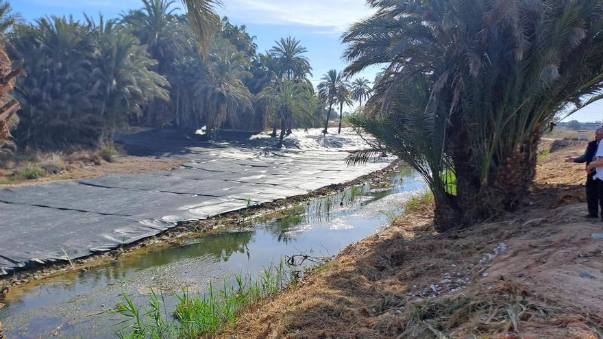 Elche tendrá un nuevo sendero peatonal de cinco kilómetros en el río Vinalopó