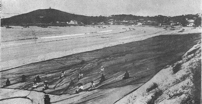 Praia América: de las redes tendidas sobre la duna a la marea de bañistas