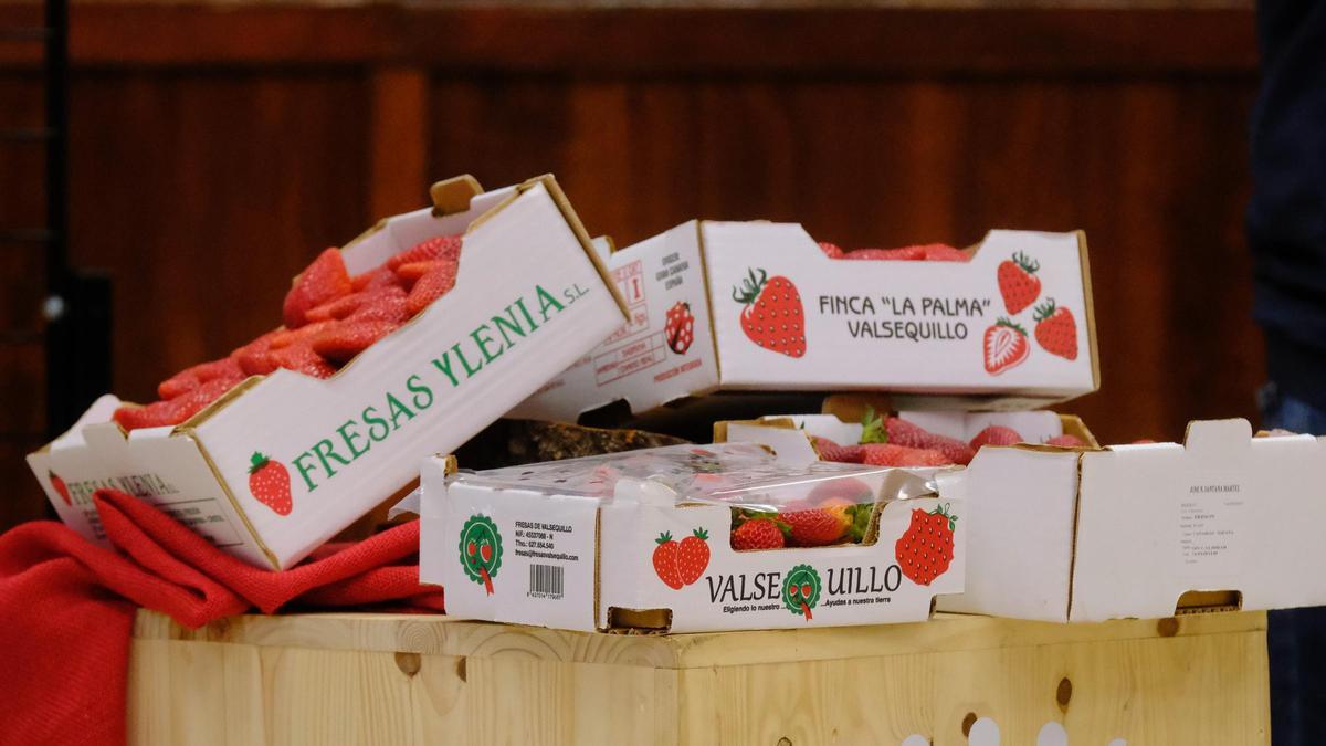 Finca de fresas La Palma, en Valsequillo