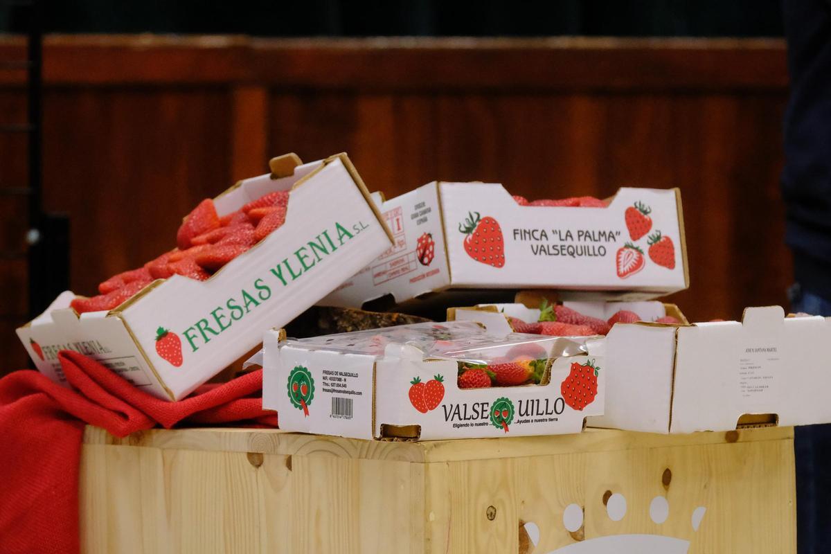 Algunas de las fresas que estarán disponibles este domingo en la feria de la fresa, en Valsequillo