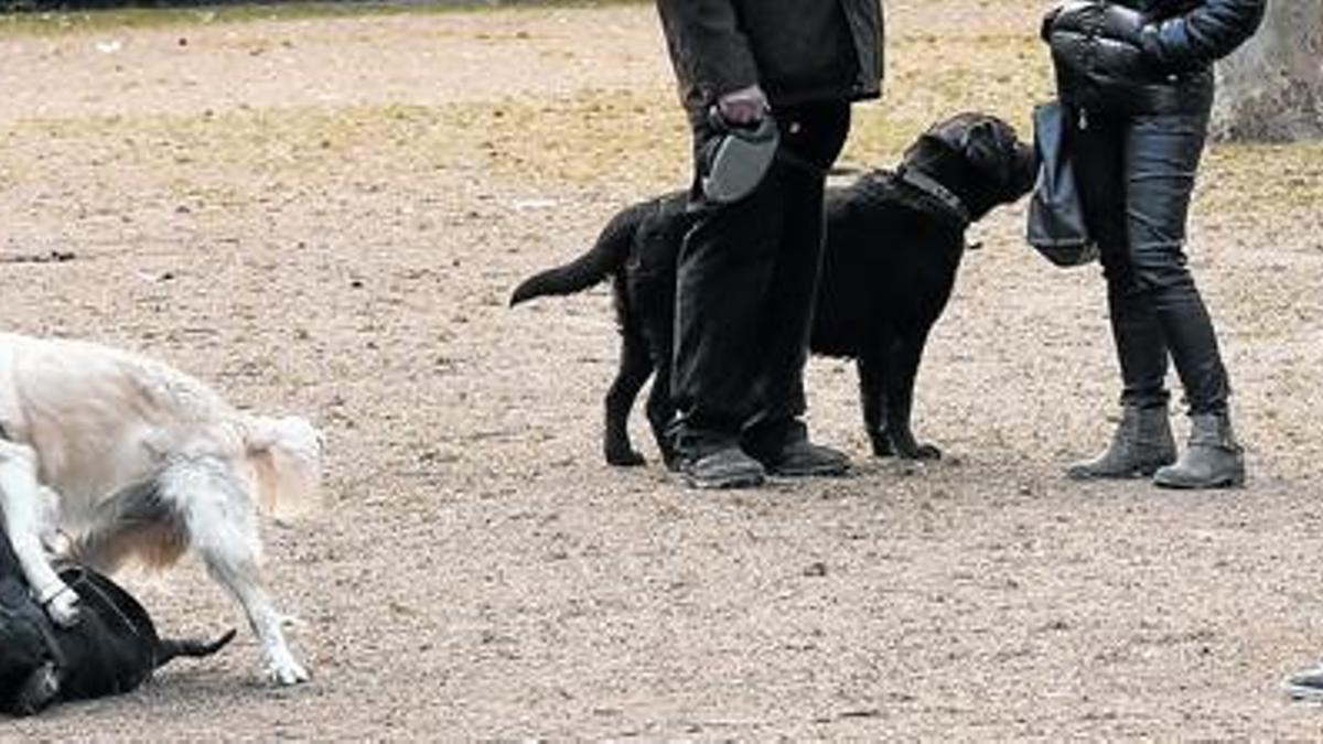 Perros con sus dueños en el Turó Park, en Sant Gervasi, el lunes.