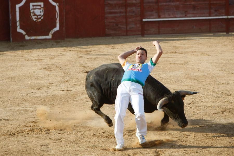 Fiestas en Zamora: Recortes en Villalpando