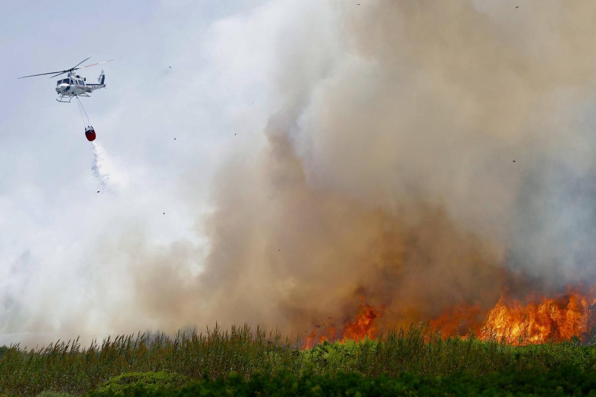 Incendio del pasado jueves en la Devesa del Saler