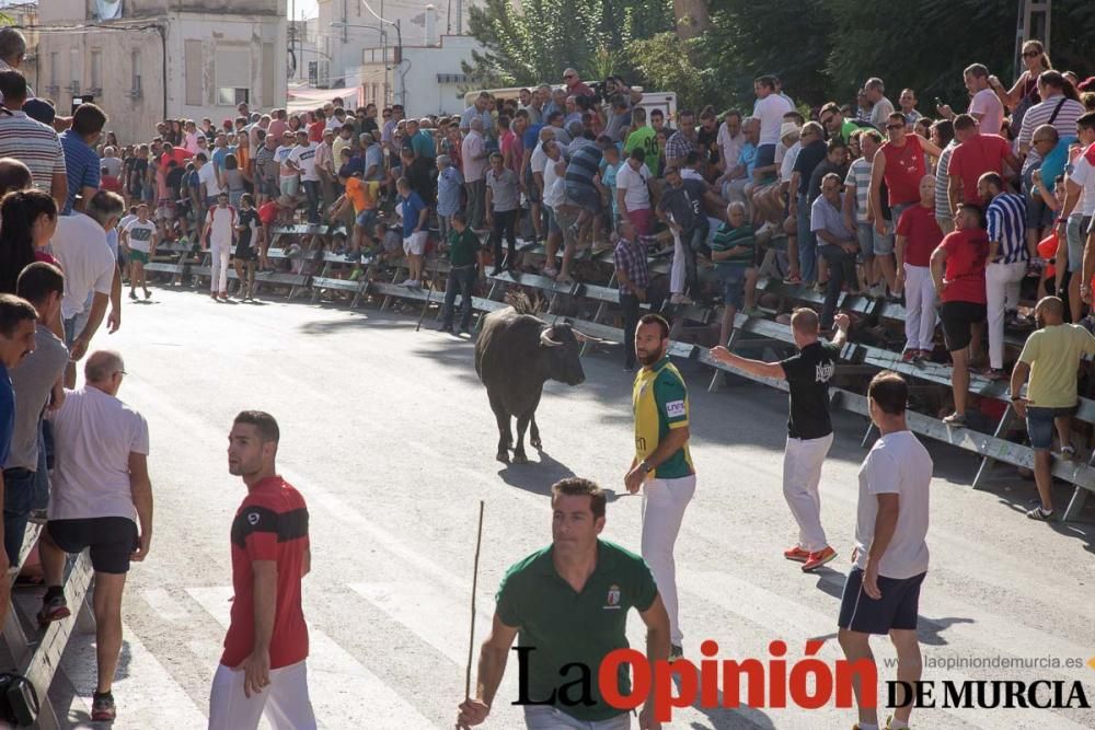 Primer encierro de Calasparra