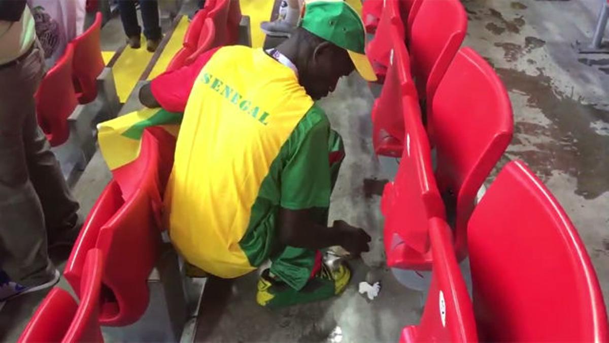 Hinchas de Senegal recogen la basura del estadio tras ganar a Polonia