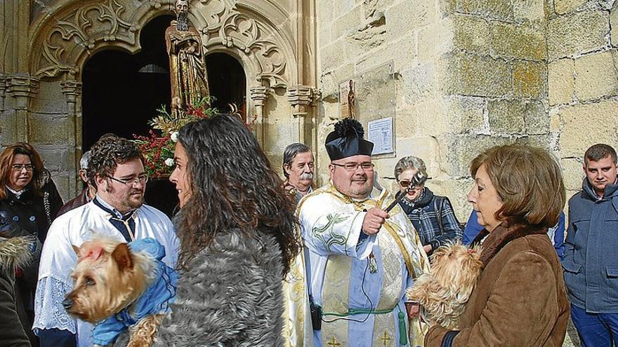 Fieles a la bendición de sus mascotas