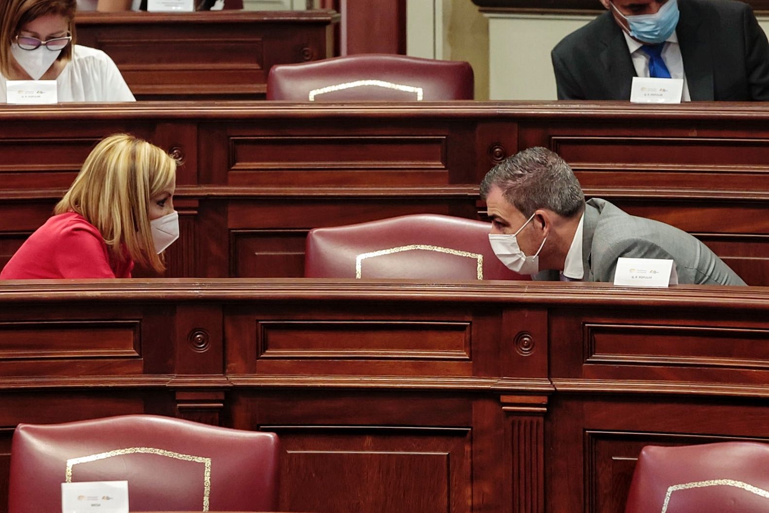 Pleno Parlamento